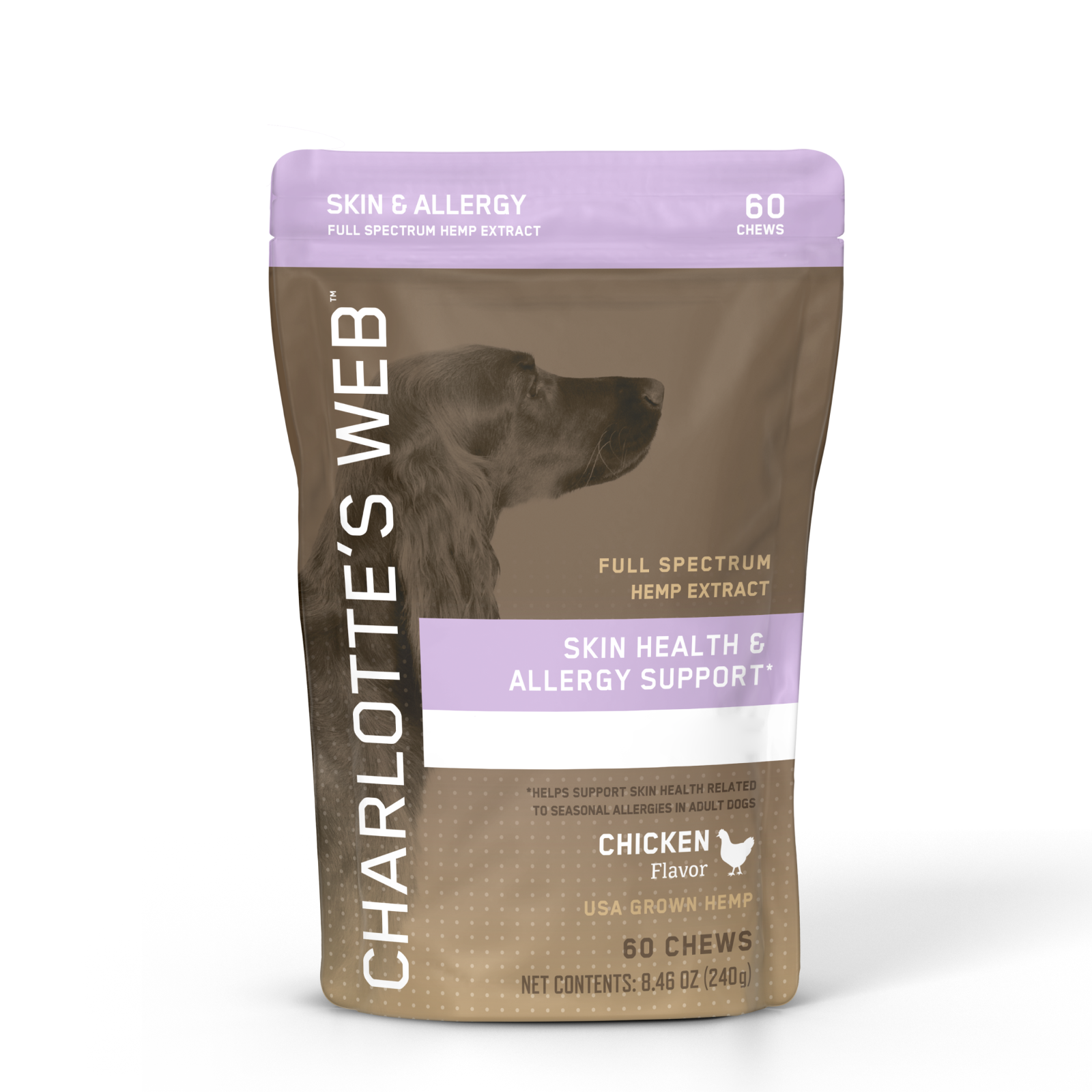 Skin & Allergy Chews for Dogs